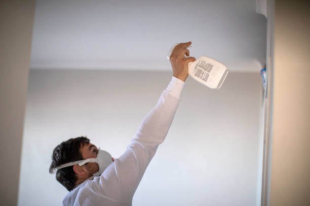 Best Mold Damage Repair  in Berthoud, CO