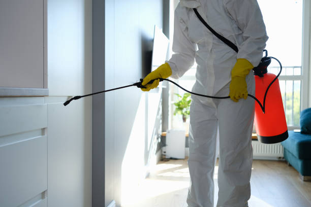 Home Mold Removal in Berthoud, CO