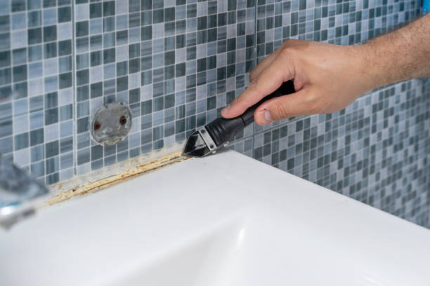 Best Professional Mold Removal  in Berthoud, CO