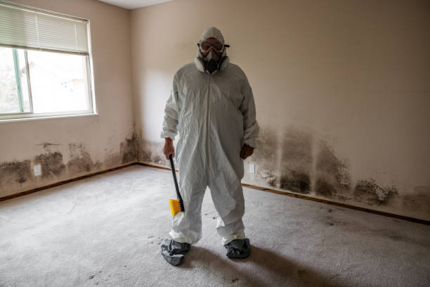 Best Certified Mold Removal  in Berthoud, CO